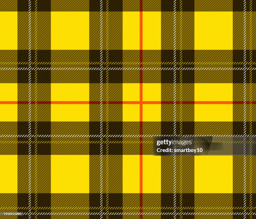 Tartan or Plaid Pattern