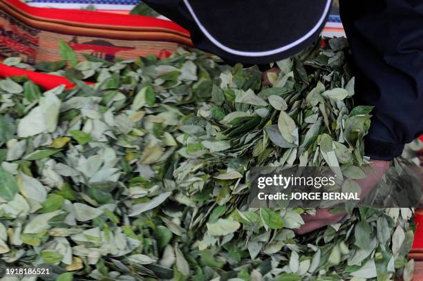 Woman displays coca leaves to give away during a ceremony to commemorate the Acullico National Day at Murillo square in La Paz, on January 11, 2024....