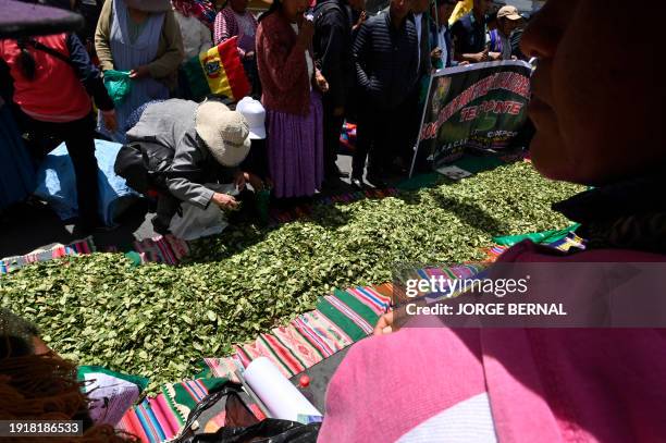 Coca producers give away coca leaves during a ceremony to commemorate the Acullico National Day at Murillo square in La Paz, on January 11, 2024. The...