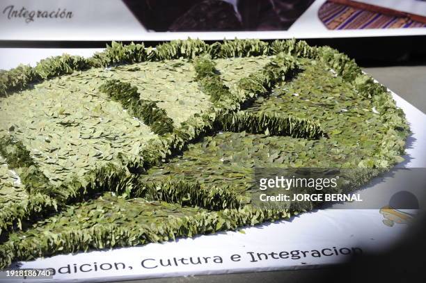 Coca leaves are displayed during a ceremony to commemorate the Acullico National Day at Murillo square in La Paz, on January 11, 2024. The Government...