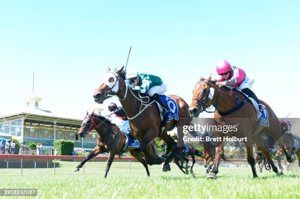 Ravin ridden by Liam Riordan wins the Hamilton Lifts Handicap at Hamilton Racecourse on January 12, 2024 in Hamilton, Australia.