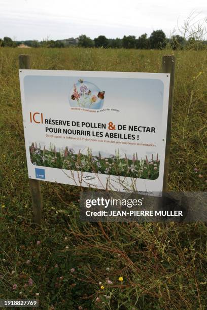 Jachères apicoles: un terrain d'entente pour agriculteurs et apiculteurs". Une pancarte plantée dans un champ en jachère indique une réserve de...
