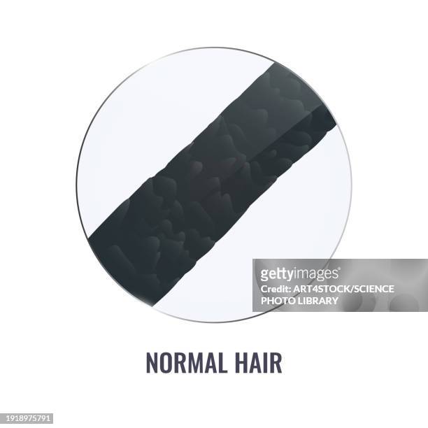 healthy hair surface, conceptual illustration - nagelhaut stock-grafiken, -clipart, -cartoons und -symbole