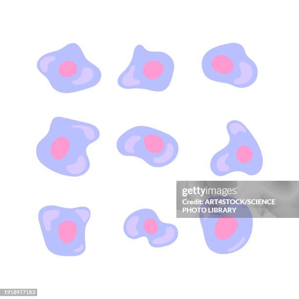 human stem cells, conceptual illustration - skin tissue stock illustrations