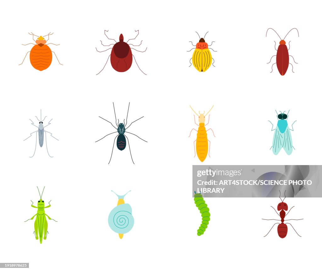 Pests, conceptual illustration