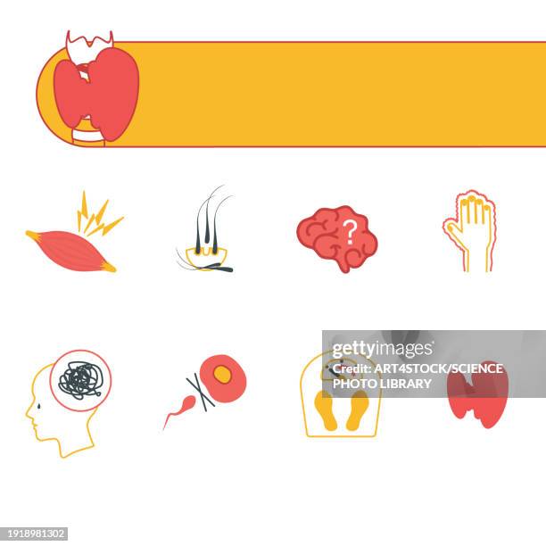 hyperthyroidism, conceptual illustration - neck muscle pain illustration stock illustrations
