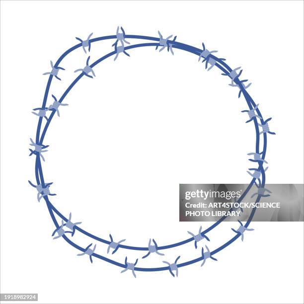 barbed wire, conceptual illustration - barbed wire stock illustrations