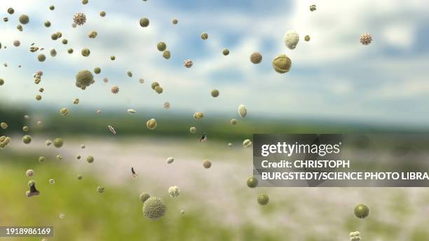 pollen particles in the air, illustration - hayfever graphic stock illustrations