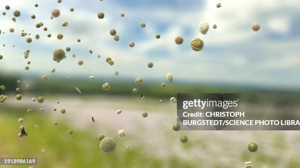pollen particles in the air, illustration - grains stock illustrations
