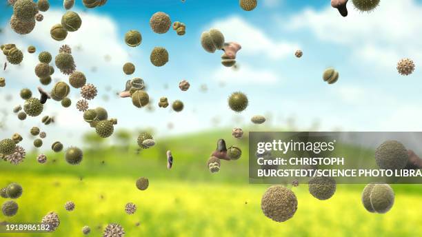 ilustrações de stock, clip art, desenhos animados e ícones de pollen particles in the air, illustration - polinização