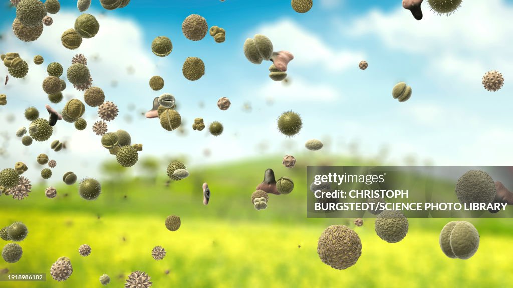 Pollen Clusters Pollen Particles In The Air Illustration High-Res Vector Graphic ...
