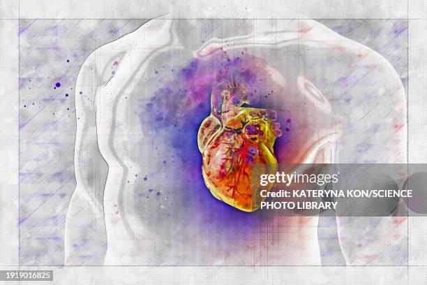 human heart with blood vessels, illustration - coronary artery点のイラスト素材／クリップアート素材／マンガ素材／アイコン素材