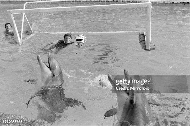 Alan Ball, Arsenal Captain, at Windsor Safari Park, Wednesday 18th August 1976, where he enjoyed playing a game of 5 aside football with dolphins .
