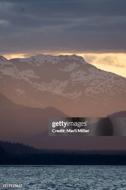 chilkat river and mountains of se alaska - rio chilkat imagens e fotografias de stock