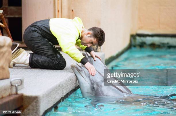 Keeper pets two dolphins at Windsor Safari Park, Monday 26th October 1992.