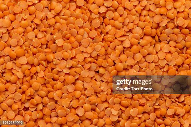 full frame macro shot of red lentils background. food texture - red lentil stock pictures, royalty-free photos & images