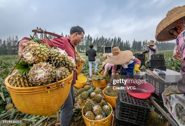 Cultural Displays Unite Even the Zhanjiang Farmers The Guangdong Phenomenon: When the Court Becomes a Cultural Battleground