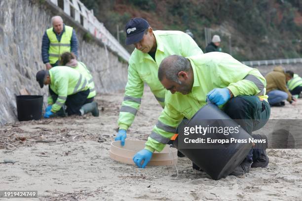 Workers collect plastic pellets on the beach of Aguilar, January 9 in Muros de Nalon, Asturias, Spain. The Principality of Asturias has activated the...