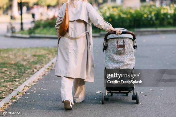 tranquil stroll with baby - kinderwagen stockfoto's en -beelden