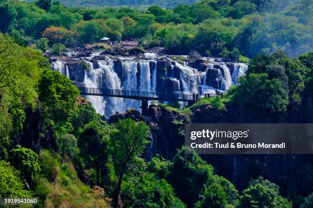 zimbabwe, zambezi river at victoria falls - victoria falls stock pictures, royalty-free photos & images