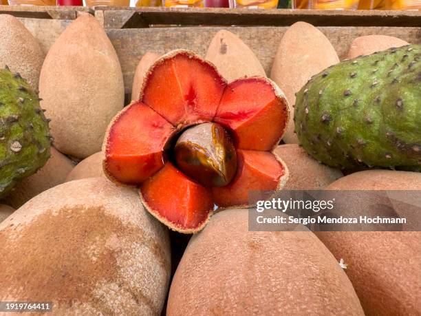 delicious mamey and custard apple fruit in mexico city, mexico - mamey stock pictures, royalty-free photos & images