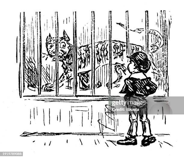british satire caricature comic cartoon illustration - captive animals stock illustrations
