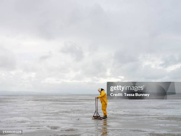 Cockle picker Wayne Acraman using a tamp to bring up the cockles on Morecambe Bay on 11th September 2019 in Flookburgh, Cumbria, United Kingdom....