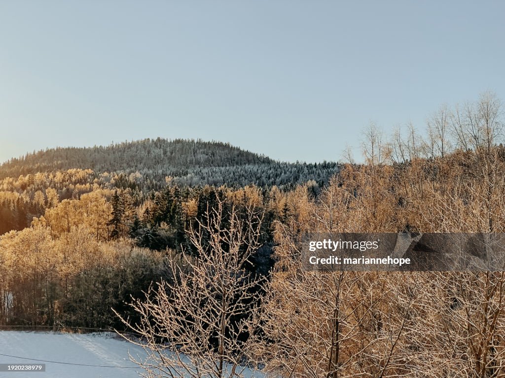 Rural winter landscape at sunset, Baerum, Akershus, Norway