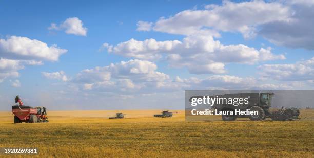 farm equipment- combines in the fields in autumn in southern canada - equipos agrícolas fotografías e imágenes de stock