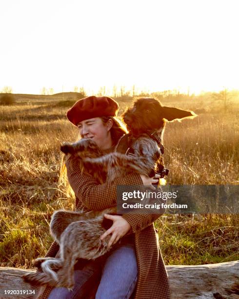 walking in winter with dog. - kim harlow stockfoto's en -beelden