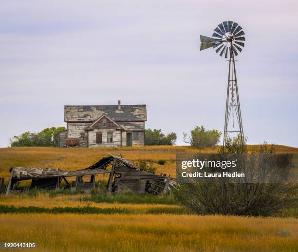 houses no longer homes in southern saskatchewan canada with a windmill - western canada farm stock pictures, royalty-free photos & images