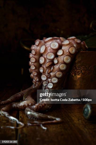 close-up of octopus tentacles in pot on table - calamari stock pictures, royalty-free photos & images
