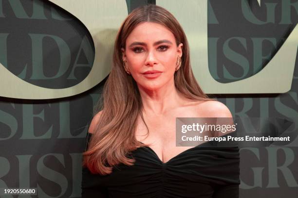 Sofia Vergara during the premiere of "Griselda", Netflix's new miniseries, on January 9 in Madrid, Spain.