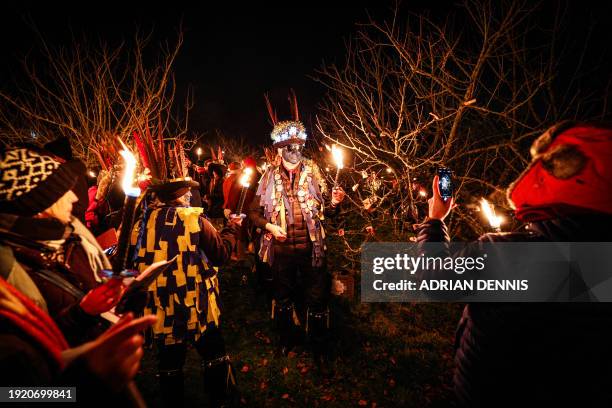 Ninja , a member of The Hook Eagle Morris Men puts pieces of toast on the branch of an apple tree in the orchard during the annual Wassail night in...