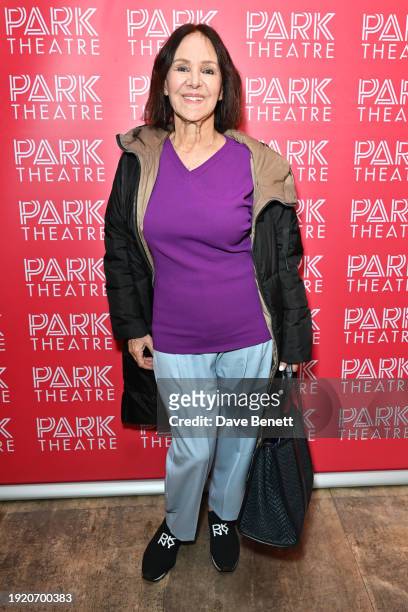Dame Arlene Phillips attends the press night performance of "Kim's Convenience" at Park Theatre on January 12, 2024 in London, England.