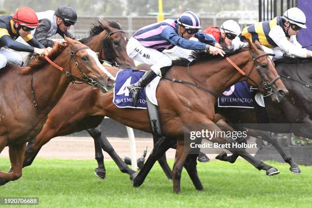 Regal Vow ridden by Jack Hill wins the Jockey Acknowledgement Plate at Flemington Racecourse on January 13, 2024 in Flemington, Australia.