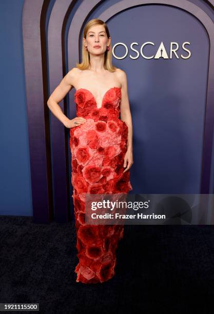 Rosamund Pike attends the Academy Of Motion Picture Arts & Sciences' 14th Annual Governors Awards at The Ray Dolby Ballroom on January 09, 2024 in...