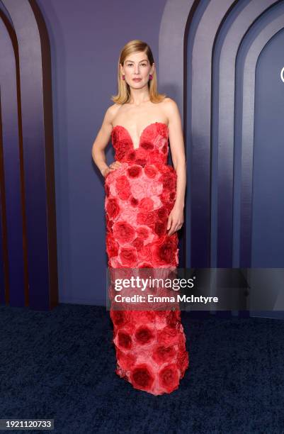 Rosamund Pike attends the Academy Of Motion Picture Arts & Sciences' 14th Annual Governors Awards at The Ray Dolby Ballroom on January 09, 2024 in...