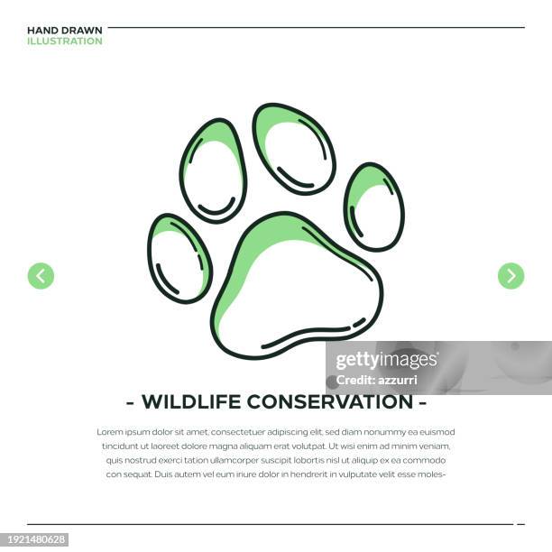 wildlife conservation pfotenabdruck-symbol - bear paw print stock-grafiken, -clipart, -cartoons und -symbole