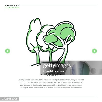 Forest Thin Line Illustration Forest Thin Line Illustration