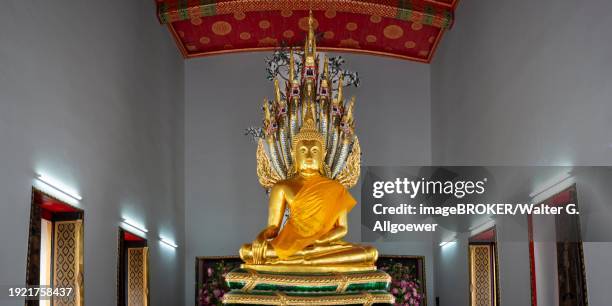 gilded buddha statue, bhumispara-mudra, buddha gautama at the moment of enlightenment, wat pho, bangkok, thailand, asia - ko ratanakosin stock pictures, royalty-free photos & images