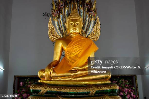 gilded buddha statue, bhumispara-mudra, buddha gautama at the moment of enlightenment, wat pho, bangkok, thailand, asia - ko ratanakosin stock pictures, royalty-free photos & images