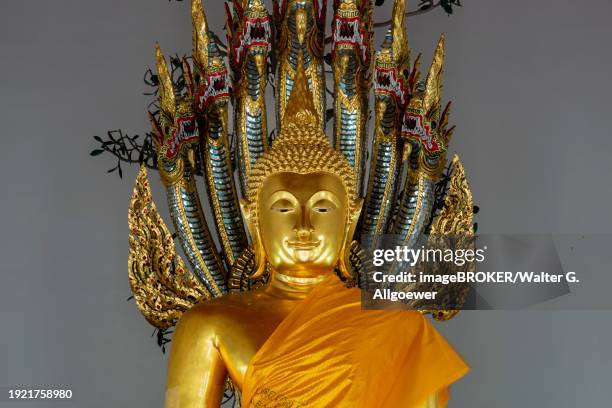 gilded buddha statue, bhumispara-mudra, buddha gautama at the moment of enlightenment, wat pho, bangkok, thailand, asia - ko ratanakosin stock pictures, royalty-free photos & images