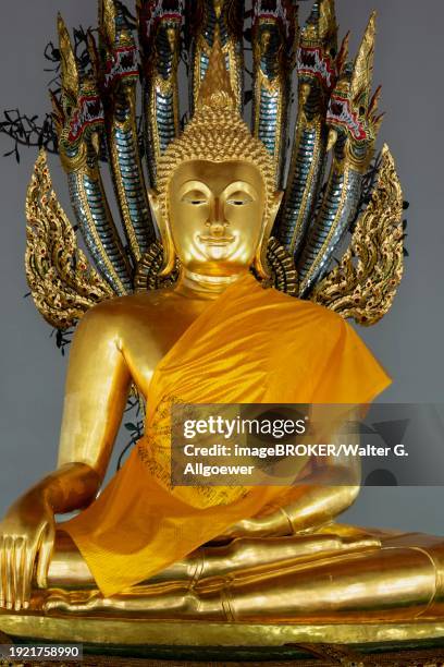 gilded buddha statue, bhumispara-mudra, buddha gautama at the moment of enlightenment, wat pho, bangkok, thailand, asia - ko ratanakosin stock pictures, royalty-free photos & images