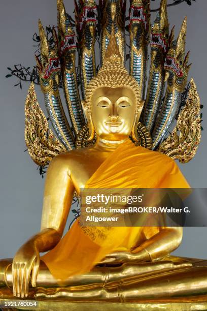 gilded buddha statue, bhumispara-mudra, buddha gautama at the moment of enlightenment, wat pho, bangkok, thailand, asia - ko ratanakosin stock pictures, royalty-free photos & images