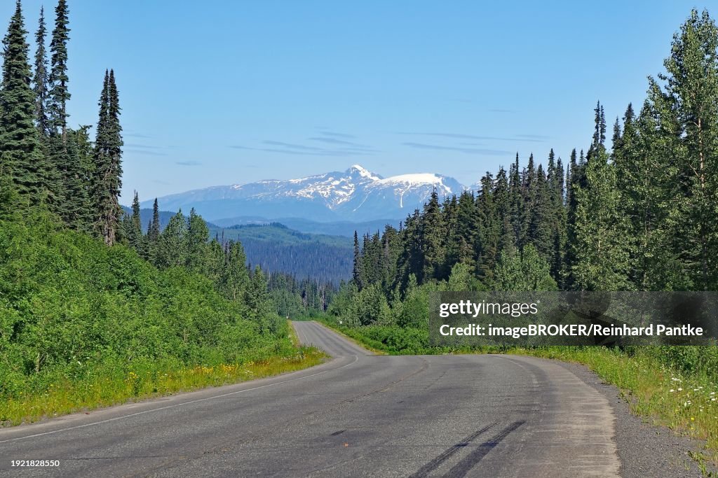 Narrow, traffic-free road leads through rugged mountain landscape, forest and snow-covered mountains, wilderness, Stewart Cassiar Highway, British Columbia, Canada, North America
