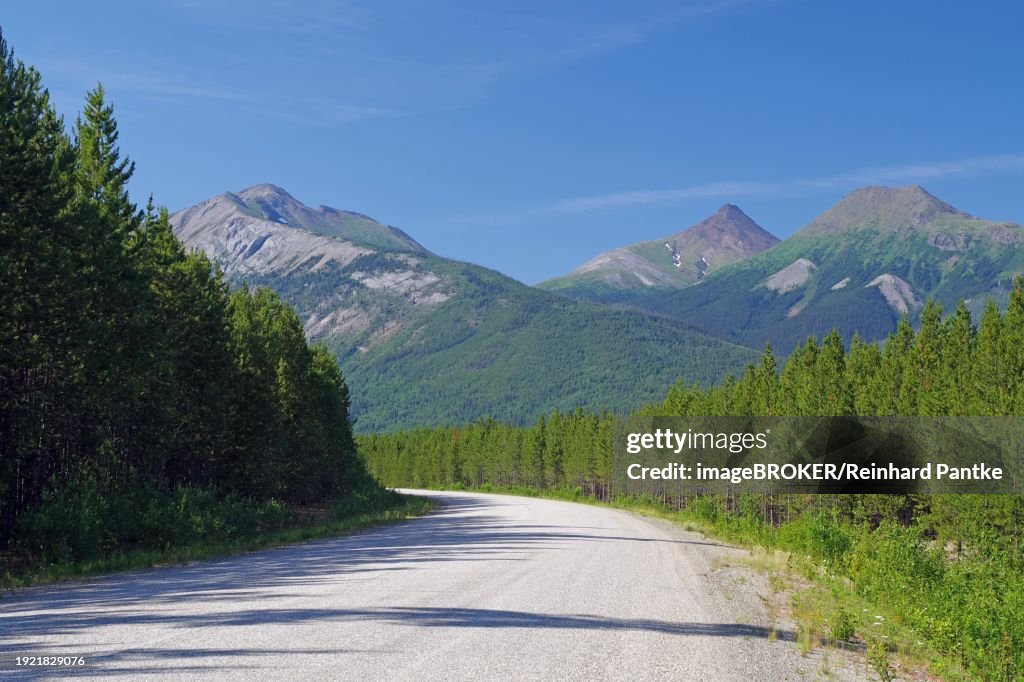 Narrow, traffic-free road leads through forest and impressive mountain scenery, Stewart Cassiar Highway, British Columbia, Canada, North America