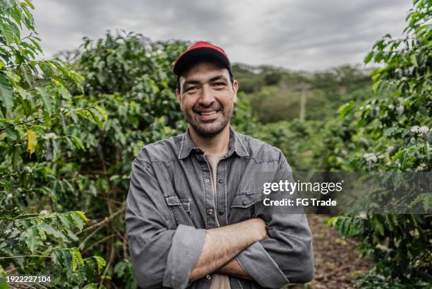ritratto di un contadino in una piantagione di caffè - agronomo foto e immagini stock