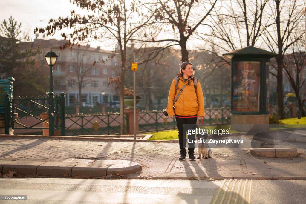 Woman is waiting at crosswalk traffic light with her dog.