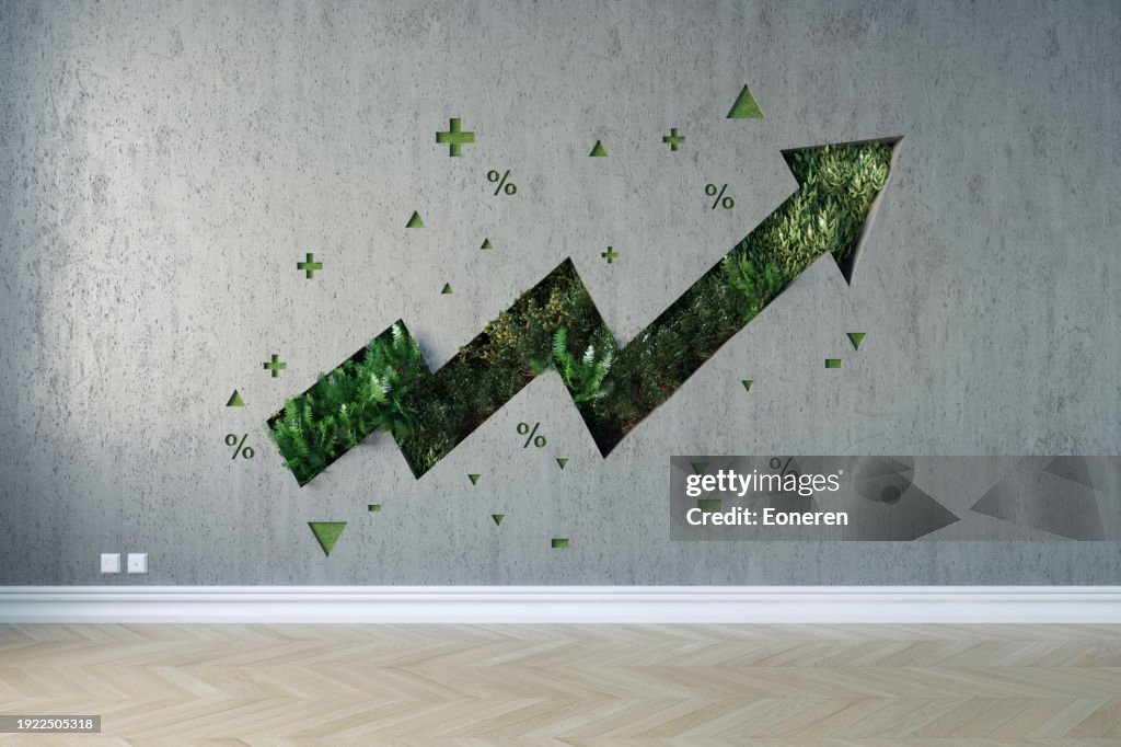 Growing graph on the wall interior
